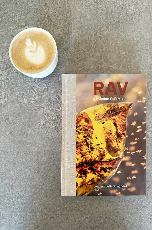 Rav - et vindue til fortiden